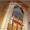Download track 13 J. S. Bach _ Sonata For Flauto Traverso & Obligato Harpsichord In B Minor, BWV 1030 - I. Andante
