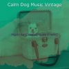 Download track Smoky Music For Walking Doggies