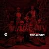 Download track Tribalistica (Original Mix)