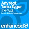 Download track The Wall (Acoustic Mix)