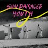 Download track Sun Damaged Youth
