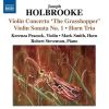 Download track Violin Concerto 'The Grasshopper', Op. 59 - II. Adagio Non Troppo Con Molto