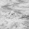 Download track Submersion
