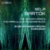 Download track (The Wooden Prince, Op. 13) - Collapse Of The Wooden Prince - Sixth Dance