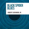 Download track Black Spider Blues
