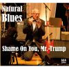 Download track Shame On You, Mr. Trump (Extended Version)