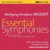 Download track Symphony No. 25 In G Minor, K. 183: IV. Allegro (Live)