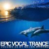 Download track In Your Arms (Aly & Fila Remix)