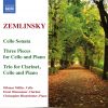 Download track Trio For Clarinet, Cello And Piano In D Minor, Op. 3 - II. Andante