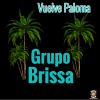 Download track Vuela Palomita