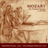 Download track Violin Sonata No. 20 In C Major, K. 303: I. Adagio - Allegro Molto