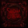 Download track From The Shadows