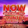 Download track What's Your Country Song