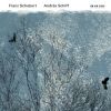 Download track 18 - Sonate In B-Dur D 960 - II. Andante Sostenuto