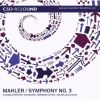 Download track 02.03 Mahler. Symphony # 3 In D Minor - 4. Sehr Langsam, Misterioso