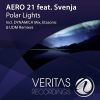 Download track Polar Lights (AERO 21's DYNAMICA Mix)