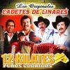 Download track Hermanos Bocanegra (Homero Guerrero Y Lupe Tijerina)