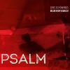 Download track Was Soll Der Aufruhr Und Der Widerstand (Psalm 2)