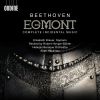 Download track Egmont, Op. 84 V. Freudvoll Und Leidvoll (Live)