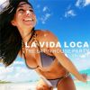 Download track Unidos Para La Musica (Nick & Danny Chatelain Remix)