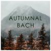 Download track Nun Komm, Der Heiden Heiland, BWV 659 (Arranged For Piano By Wilhelm Kempff)