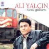 Download track Çok Özledim