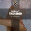 Download track Triggered (Afternova Remix)