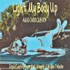 Download track Light My Body Up (Karaoke Instrumental David Guetta Feat Nicki Minaj & Lil Wayne Tribute)