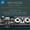 Download track Serenade For Flute, Violin & Viola In D Major, Op. 25: II. Tempo Ordinario D'un Menuetto