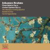 Download track Piano Quintet In F Minor, Op. 34: IV. Finale. Poco Sostenuto - Allegro Non Troppo - Tempo I - Presto, Non Troppo