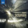 Download track Symphony No. 1 In B-Flat Major, Op. 38 Spring (Arr. R. & C. Schumann For Piano 4 Hands) III. Scherzo. Molto Vivace