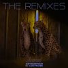 Download track Animal (Rare Candy Remix)