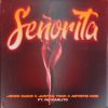 Download track Señorita (Instrumental)