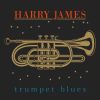 Download track Trumpet Blues