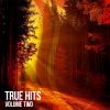 Download track True (Temple One Remix)