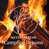 Download track Campfire Night Distant Wolves