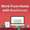 Download track Beethoven: 6 Ländler For 2 Violins And Bass, WoO 15 - No. 1 In D Major