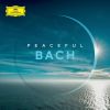 Download track J. S. Bach: Sonata For Viola Da Gamba And Harpsichord No. 3 In G Minor, BWV 1029 - 2. Adagio