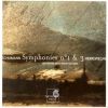 Download track Schumann. Fruehlingssinfonie Nr. 1. IV. Finale. Allegro Animato E Grazioso