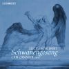 Download track Schwanengesang, S. 560 (After Schubert's D. 957): No. 10, Liebesbotschaft