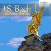 Download track Geist Und Seele Wird Verwirret, BWV 35, Pt. 1: I. Sinfonia