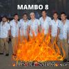 Download track Mambo 8
