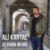 Download track Neredesin Kardeş Gel