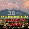 Download track EL Gallo De San Juan
