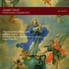 Download track Concerto For Violin And Orchestra In C Major, Hob. VIIa: 1 - I - Allegro Moderato