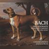 Download track Violin Sonata No. 4 In C Minor, BWV 1017: III. Adagio
