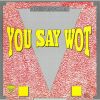 Download track You Say Wot (Dub Mix)