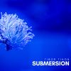 Download track Submersion