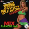 Download track Mix Llanero 8: De Rodillas Te Pido / Lágrimas Del Corazón / Solo Dejé Yo A Mi Padre / Dos Cartas Y Una Flor / Por Eso Vuelve