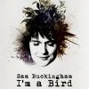 Download track I'm A Bird